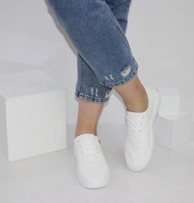 ���� - 36-41 ������