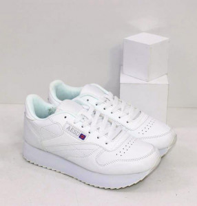 ������� ������ 36-41