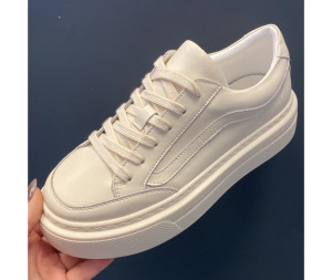 ������� ������ 36-41
